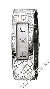 Calvin Klein K2024120