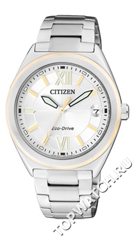Citizen FE6004-52A