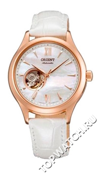 Orient DB0A002W