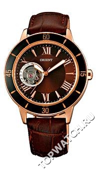 Orient DB0B002T